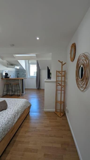 2E Grand Studio Agen Hyper Centre - Clim - Jacobins 외부 사진