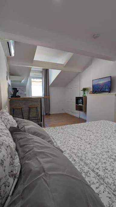2E Grand Studio Agen Hyper Centre - Clim - Jacobins 외부 사진